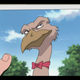 Condor is one photogenic bird, on top of all his other attributes.